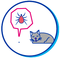 Picto chat tique