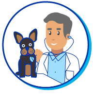 Picto chien chez le v&eacute;t&eacute;rinaire