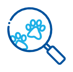 Assurance Animaux Chien Et Chat Carrefour Assurance