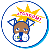 Picto chien malade
