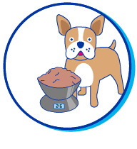 Picto chien balance