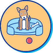 Picto basenji