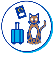 Picto chat valise