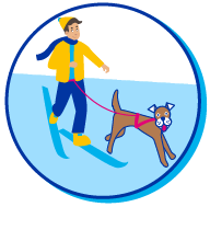 Picto chien ski