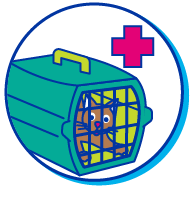 Picto chat caisse transport
