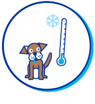 Picto chiot thermom&egrave;tre