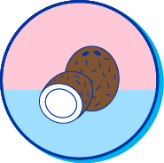Picto noix de coco