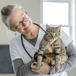 gestes premiers secours animaux
