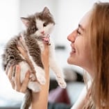 Teigne du chat