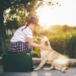 chien vomit jaune