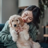 Chien malheureux
