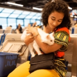 voyager avec un chat en avion