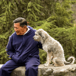 Chien_Homme_Age_Vieux