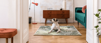 Chien propre dans la maison