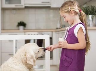 Donner du yaourt &agrave; son chien