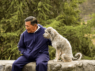Chien_Homme_Age_Vieux