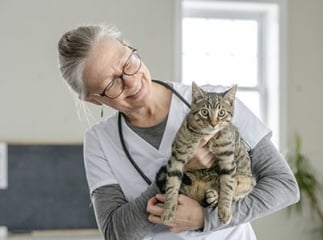 gestes premiers secours animaux