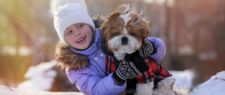 Chiens à la neige