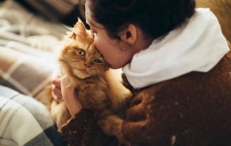 Assurance Santé Chat