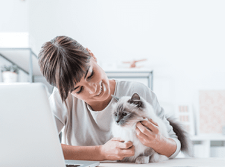 chat affection