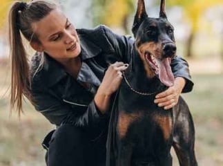 Responsabilité Civile pour les propriétaires d'animaux : tout ce que vous devez savoir
