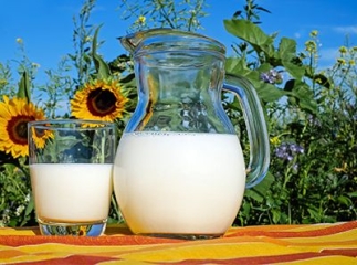 Lait v&eacute;g&eacute;tal