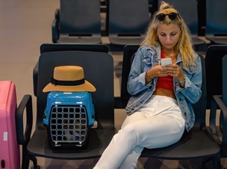 Passeport pour chat