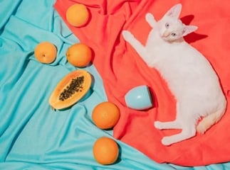 chat fruits