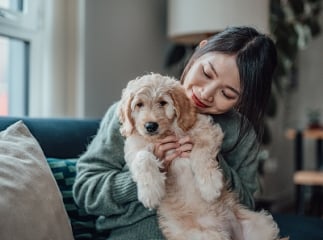 Chien malheureux