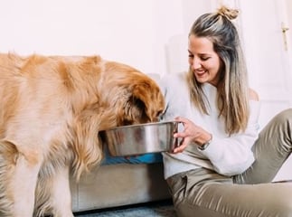 ration m&eacute;nag&egrave;re pour le chien