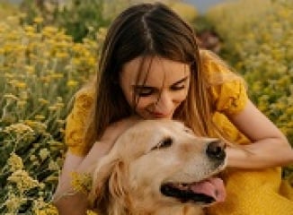 Plantes toxiques pour mon chien : la liste à connaître pour éviter les accidents