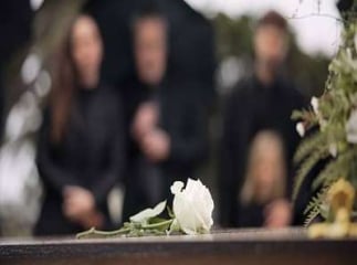 Rose sur une pompe funèbre