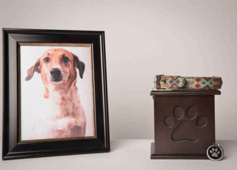 Chien sur un tableau