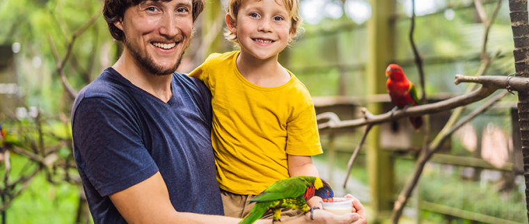 p&egrave;re et fille observent des oiseaux