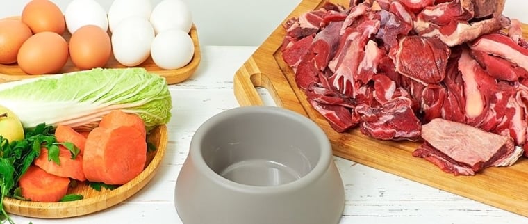 alimentation BARF pour le chat
