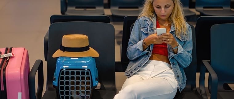 Passeport pour chat
