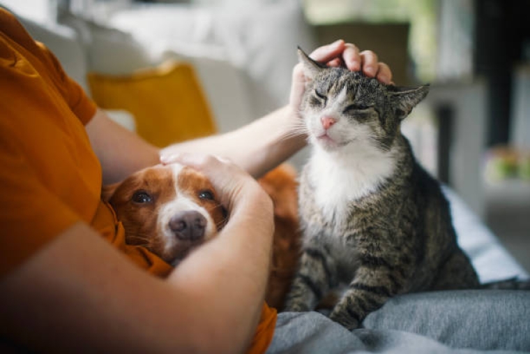 Dame qui caresse le chien et le chat