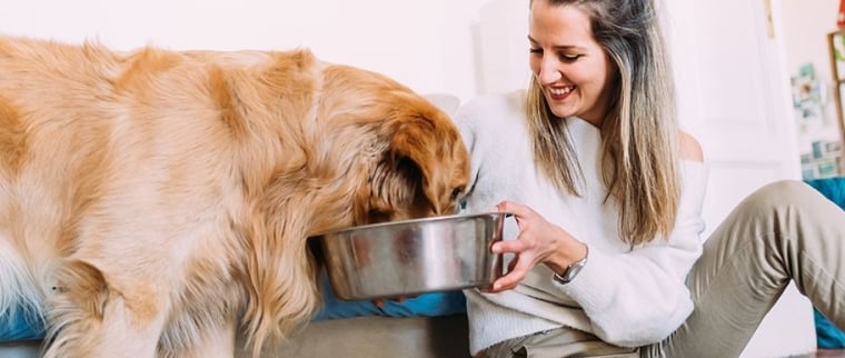ration m&eacute;nag&egrave;re pour le chien