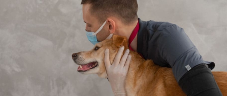 Otite chez le chien