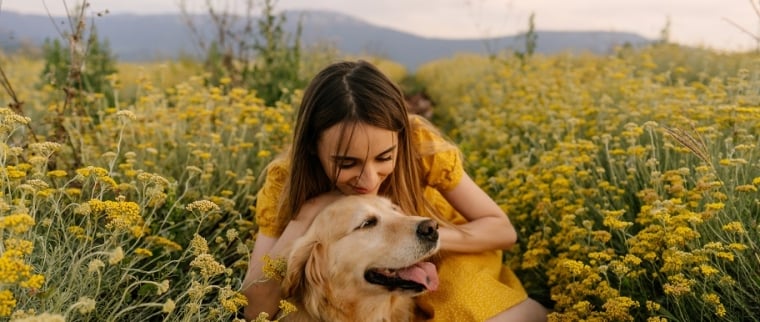 Plantes toxiques pour mon chien : la liste &agrave; conna&icirc;tre pour &eacute;viter les accidents