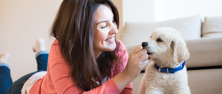 femme qui joue avec son chien